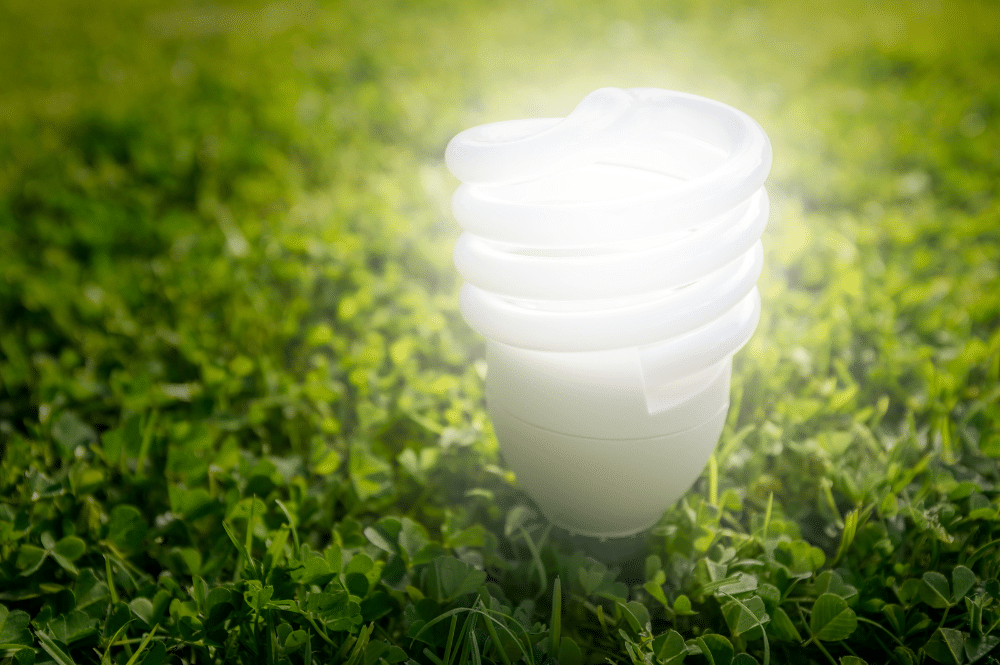 A light bulb rests on green grass, symbolizing energy-efficient lighting and environmental sustainability.