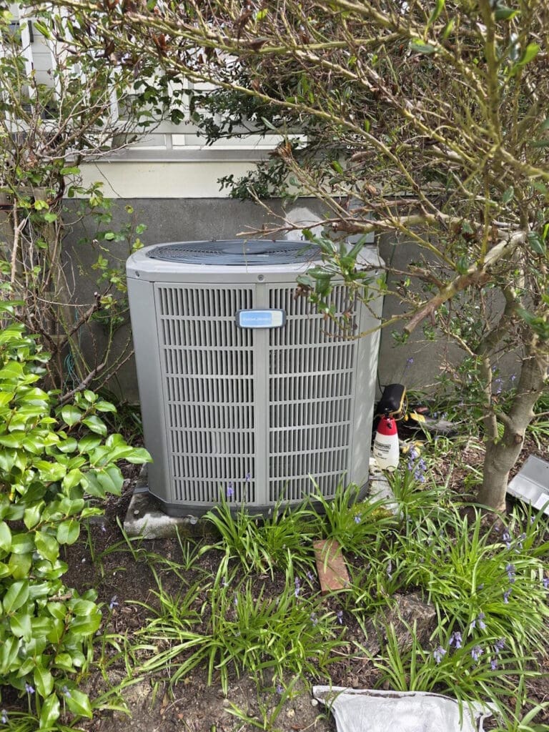 Complete Heat Pump Maintenance in Everett, WA: Why You Should Service Your Heat Pump Before the Summer Season